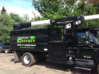 Custom lawn care service in Scotch Plains, NJ by Caffrey Tree & Landscape