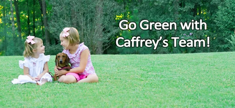 Affordable residential landscaping in Scotch Plains, NJ by Caffrey Tree & Landscape
