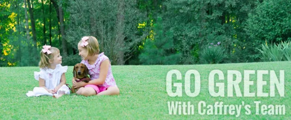 Professional yard maintenance near you in Scotch Plains, NJ by Caffrey Tree & Landscape