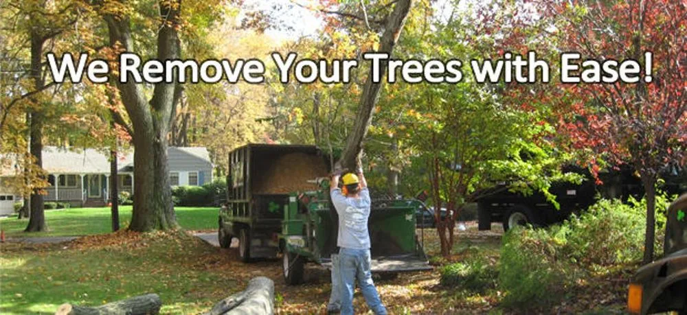 Reliable residential landscaping with custom design in Scotch Plains, NJ by Caffrey Tree & Landscape