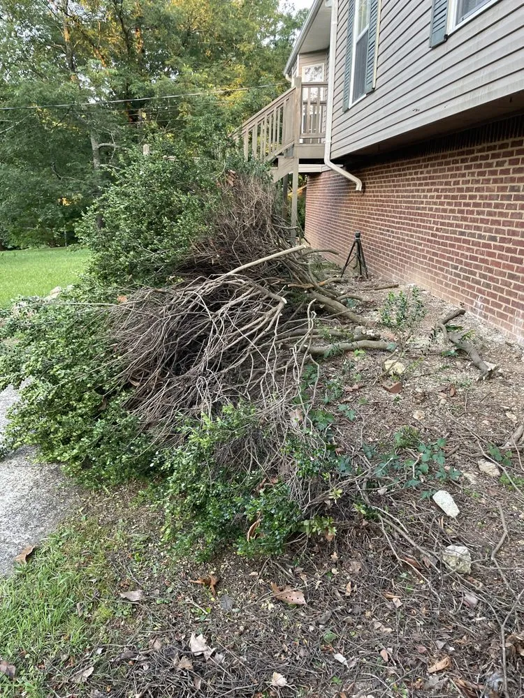 Top-rated garden landscaping in Birmingham, AL by CAG Concrete & Lanscaping Services