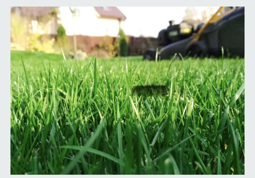 Reliable lawn mowing service for homes across Medina, OH - CAG Lawn Services