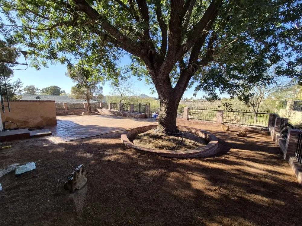 Expert lawn care service in El Paso, TX by Cage Pros & Landscaping