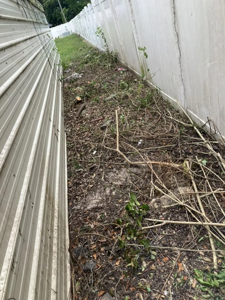 Local landscaping services in Eagle Lake, FL - Cage’s Lawn Care