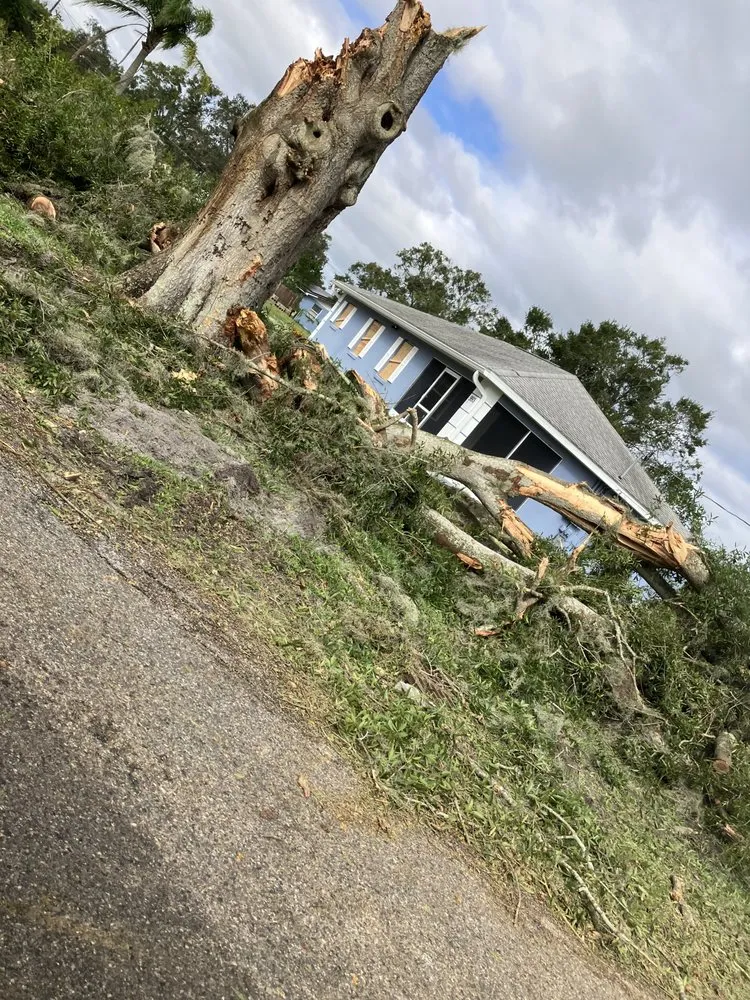 Affordable outdoor landscaping for beautiful yards across Eagle Lake, FL - Cage’s Lawn Care