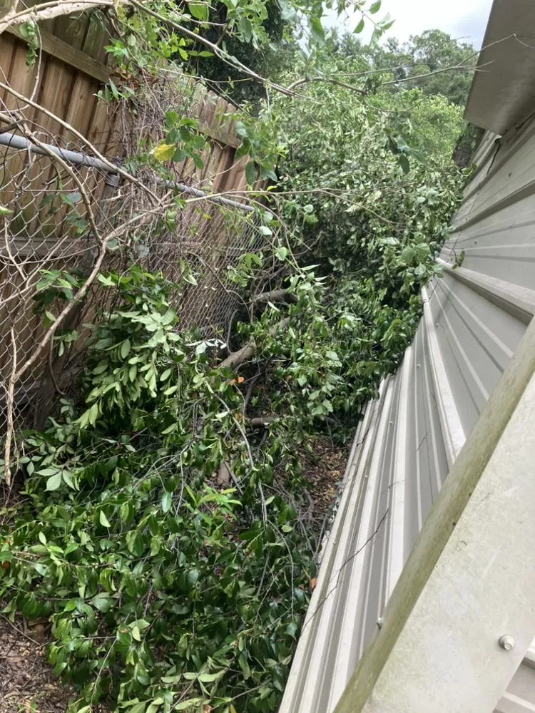 Professional lawn care service in Eagle Lake, FL by Cage’s Lawn Care