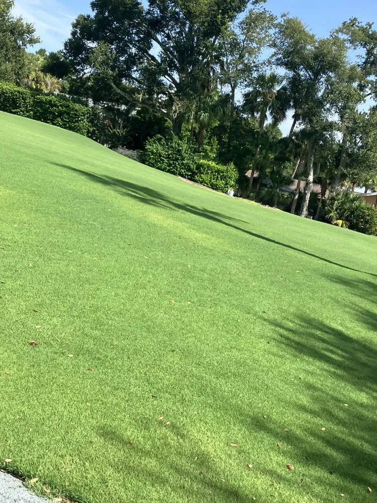 Affordable landscape design in Eagle Lake, FL by Cage’s Lawn Care