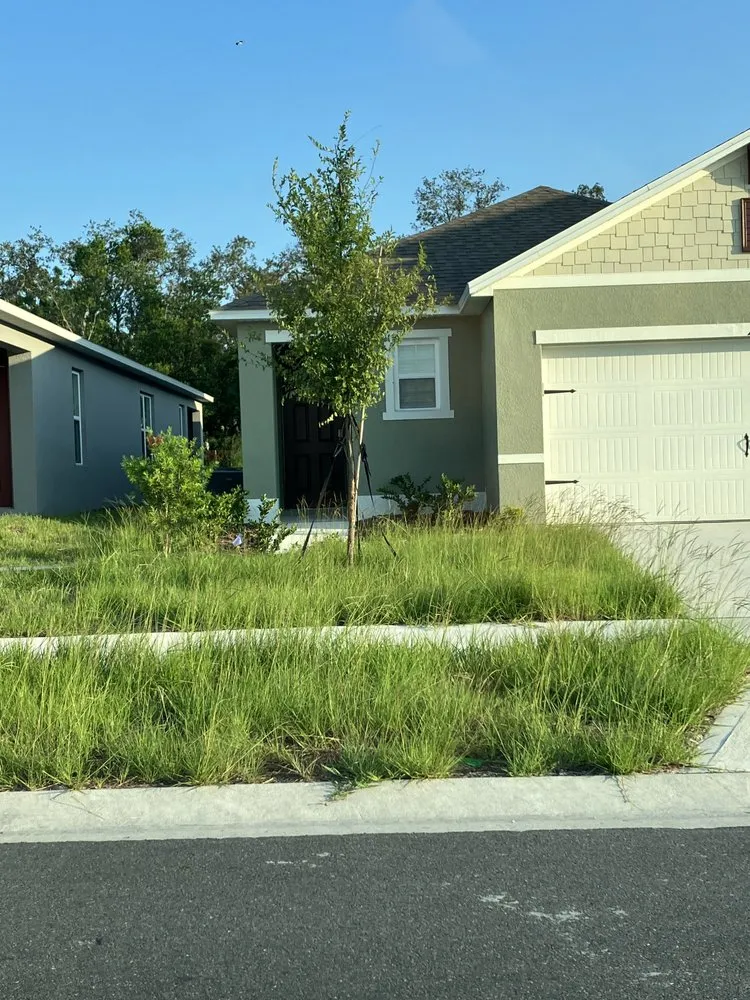 Expert yard maintenance in Eagle Lake, FL by Cage’s Lawn Care