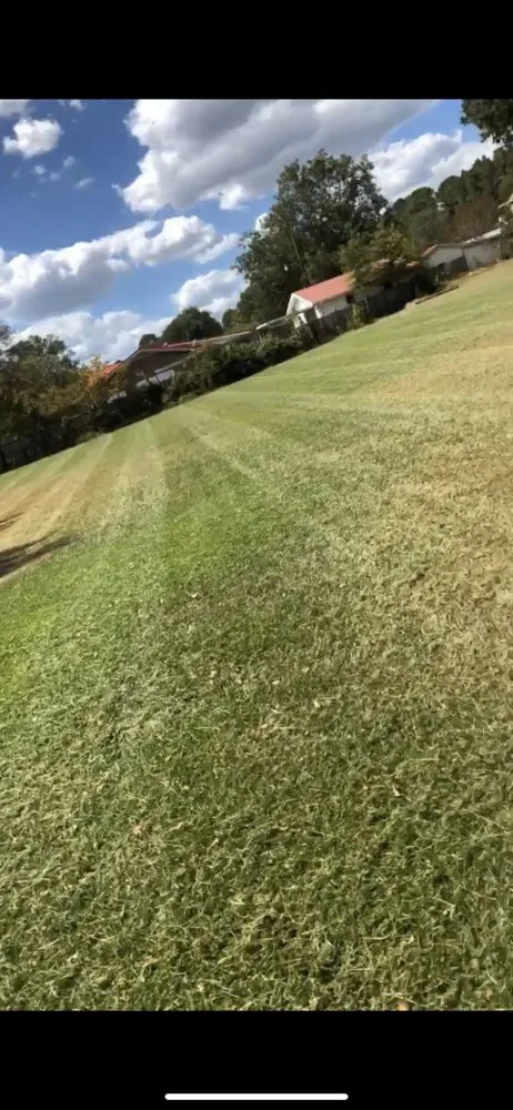 Custom lawn care service for residential properties across Hamilton, AL - Cagle Lawn Care