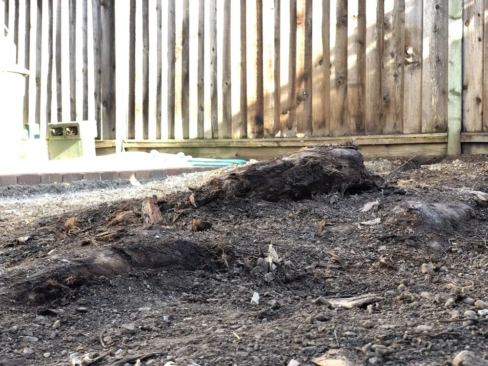 Affordable garden landscaping in Petaluma, CA - Cagwin & Dorward