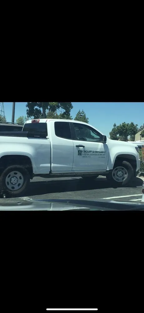 Affordable residential landscaping for outdoor upgrades in Petaluma, CA by Cagwin & Dorward