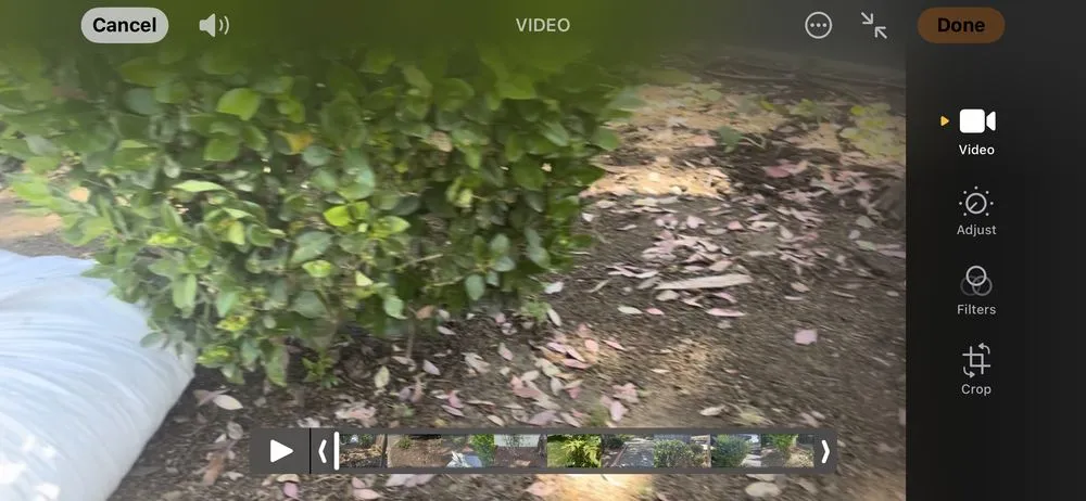 Top-rated lawn mowing service for homes in Petaluma, CA by Cagwin & Dorward