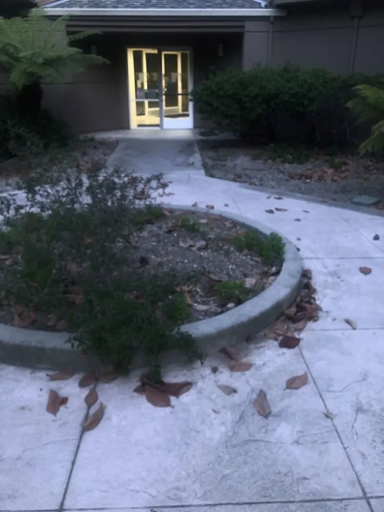 Expert landscaping services experts serving Petaluma, CA - Cagwin & Dorward