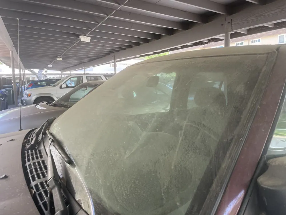 Professional yard cleanup service in Petaluma, CA - Cagwin & Dorward