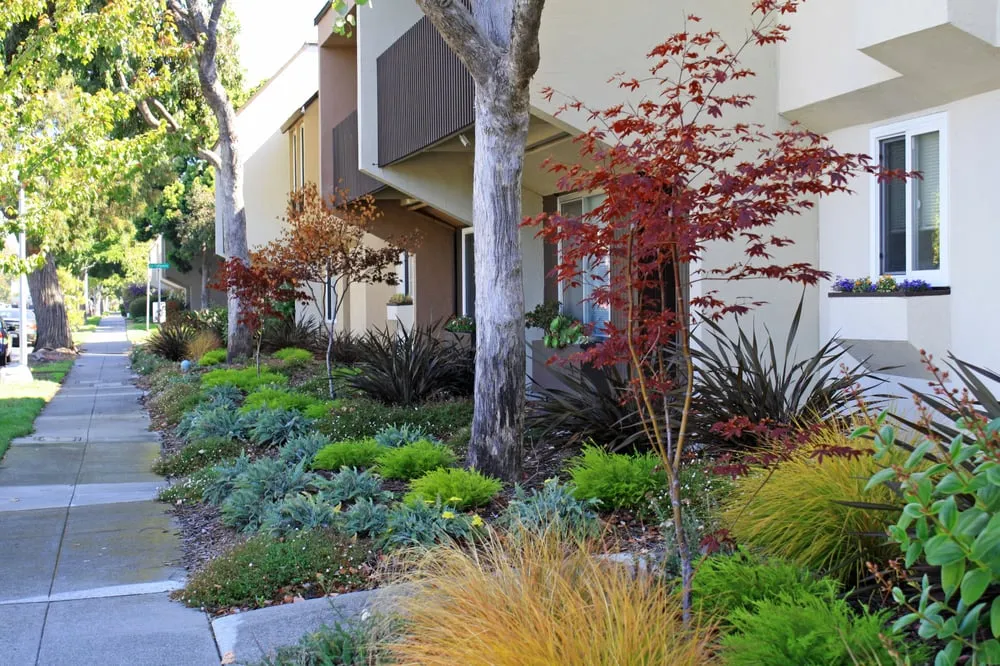 Local lawn care service experts serving Petaluma, CA - Cagwin & Dorward