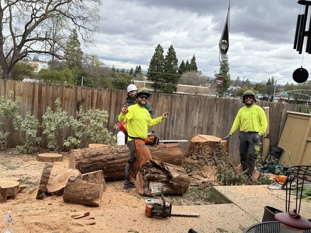 Trusted residential landscaping experts serving Roseville, CA - Cagwin & Dorward