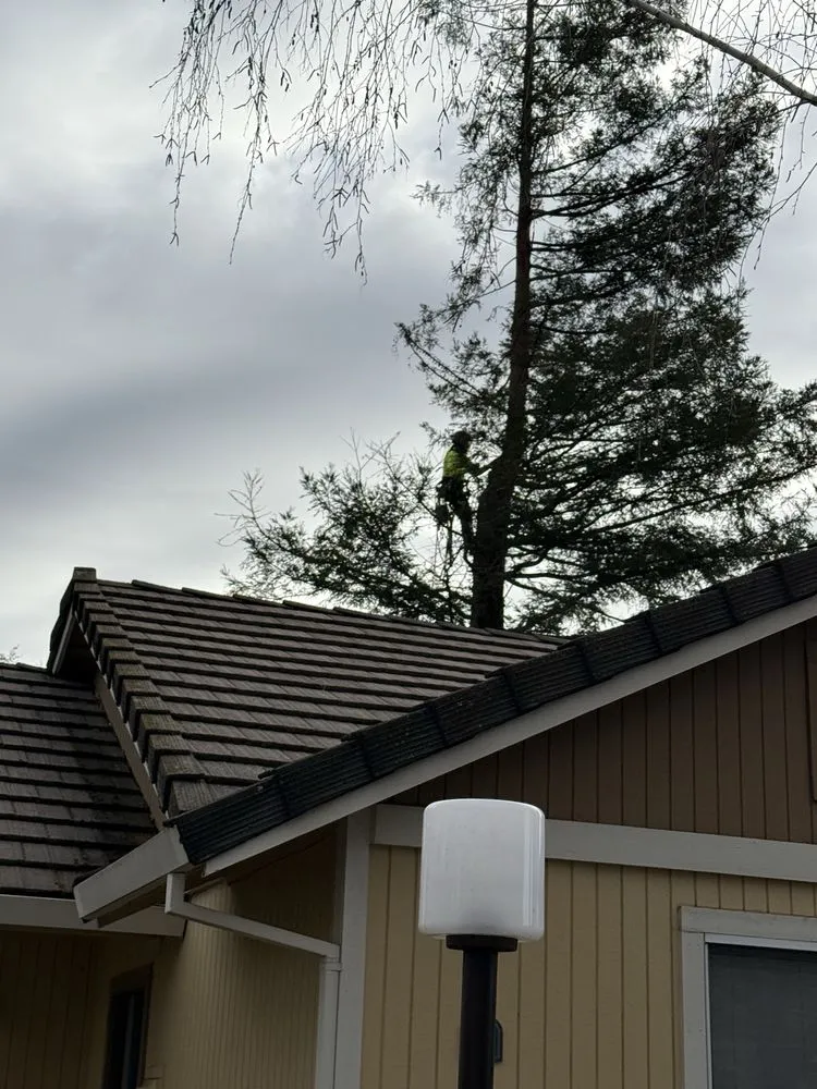 Affordable yard maintenance in Roseville, CA - Cagwin & Dorward