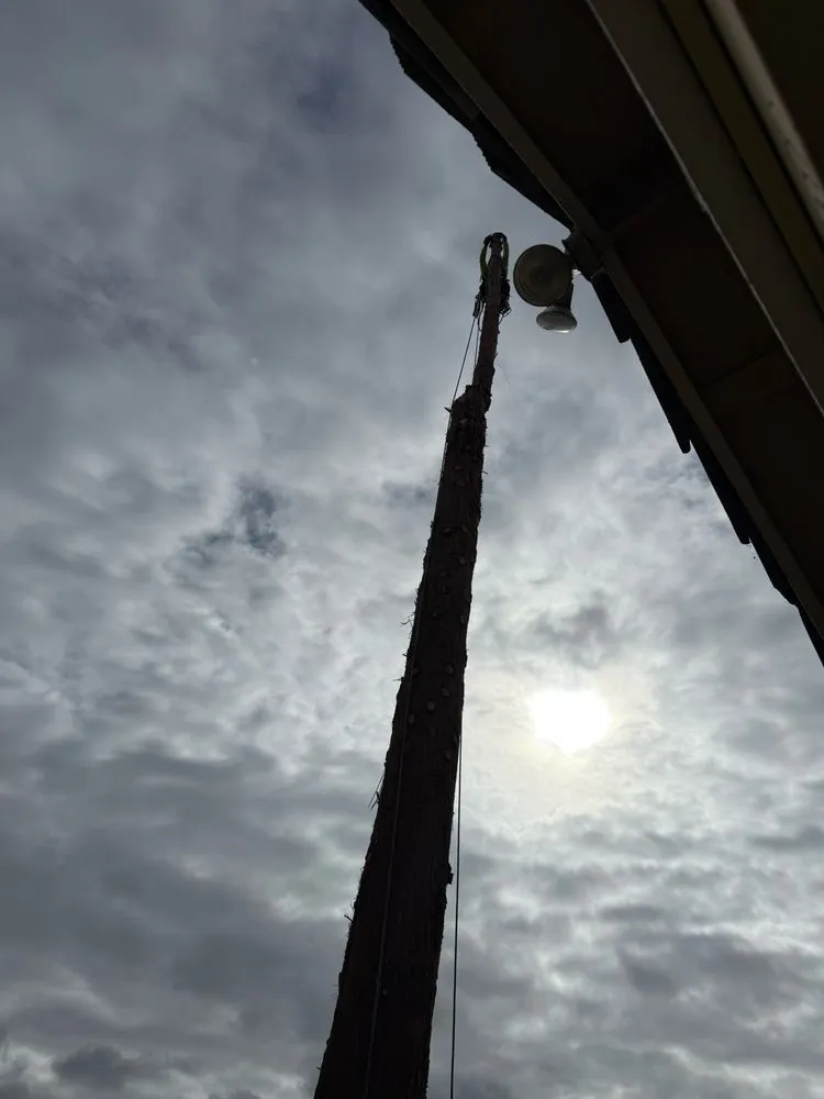 Reliable landscape installation in Roseville, CA - Cagwin & Dorward