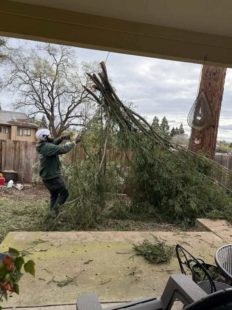 Expert lawn mowing service experts serving Roseville, CA - Cagwin & Dorward