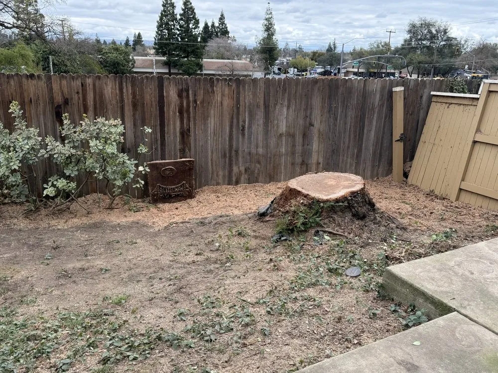 Custom lawn mowing service for outdoor upgrades in Roseville, CA by Cagwin & Dorward