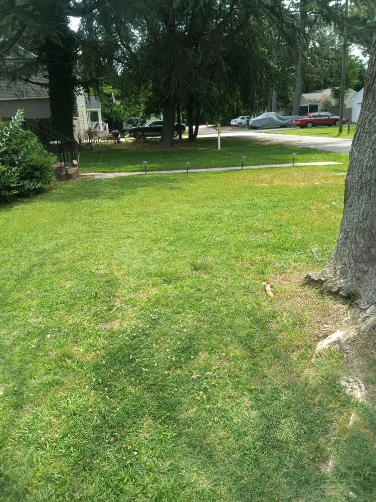 Top-rated outdoor landscaping in Portsmouth, VA by Cahoon Lawn and Landscaping