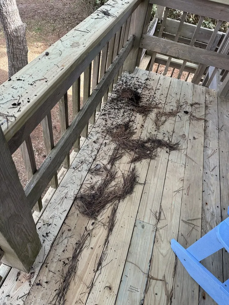 Professional outdoor landscaping experts serving Manteo, NC - Cahoon’s Coastal Lawn Care Services