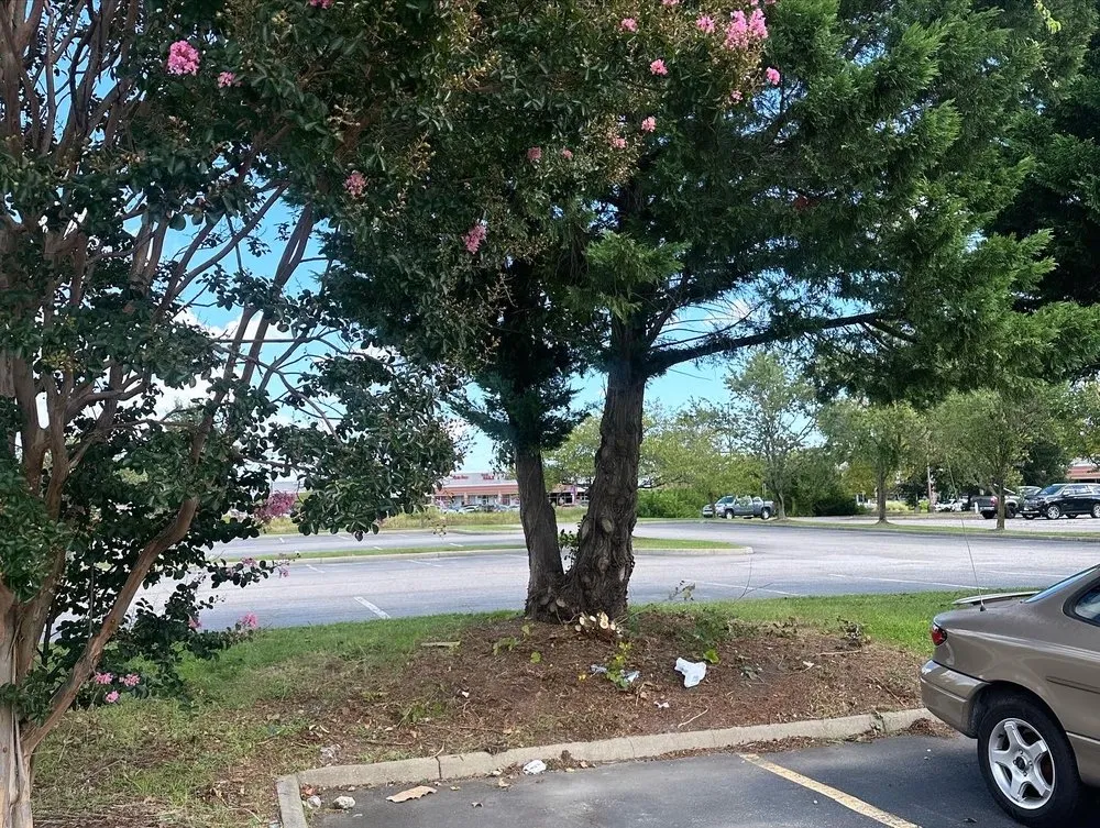 Local lawn care service for beautiful yards across Manteo, NC - Cahoon’s Coastal Lawn Care Services