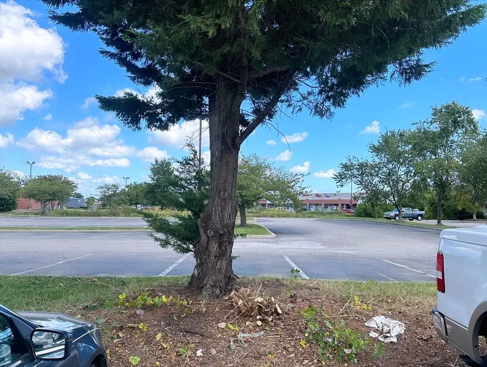 Trusted landscaping services experts serving Manteo, NC - Cahoon’s Coastal Lawn Care Services