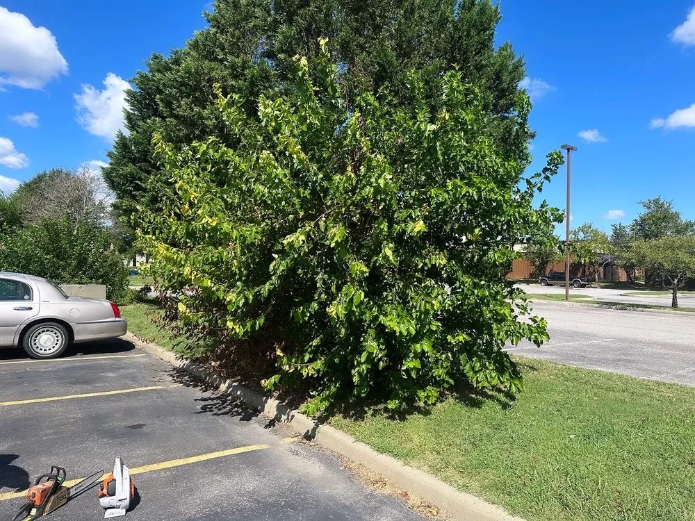 Expert garden landscaping in Manteo, NC by Cahoon’s Coastal Lawn Care Services