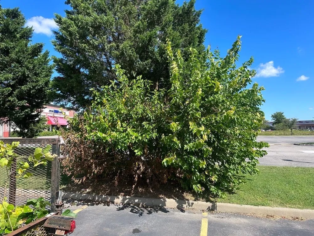 Trusted landscaping services in Manteo, NC by Cahoon’s Coastal Lawn Care Services