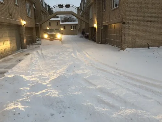 Caines & Associates Landscape Management Logo