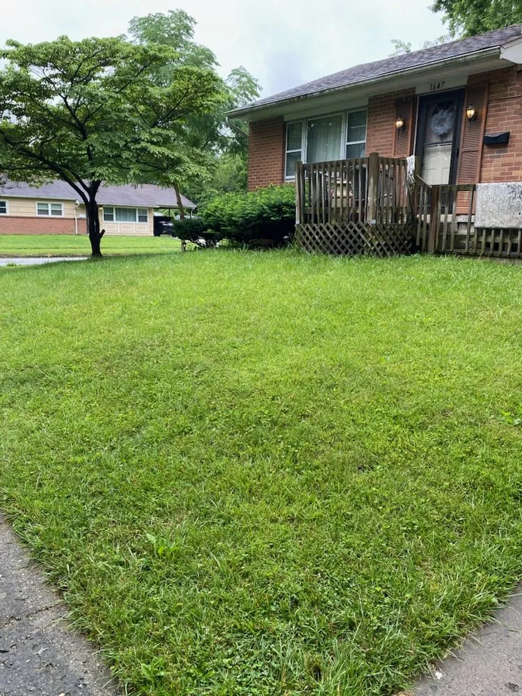 Trusted yard maintenance experts serving Columbus, OH - Cains Lawncare Services