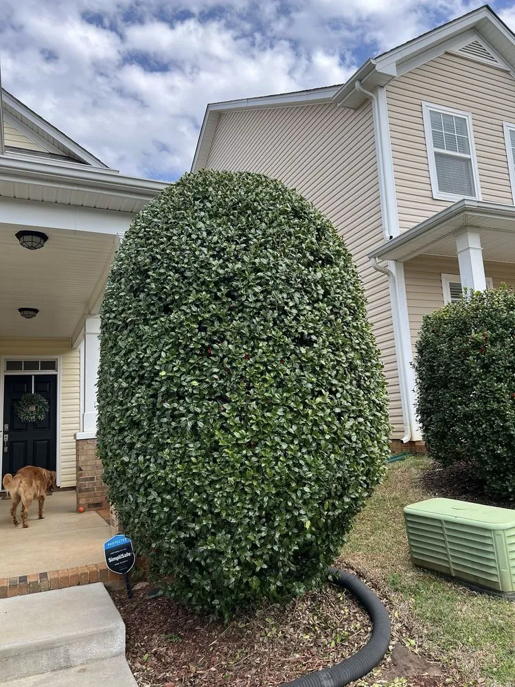 Local lawn mowing service for beautiful yards across Charlotte, NC - Cain’s Outdoor Services