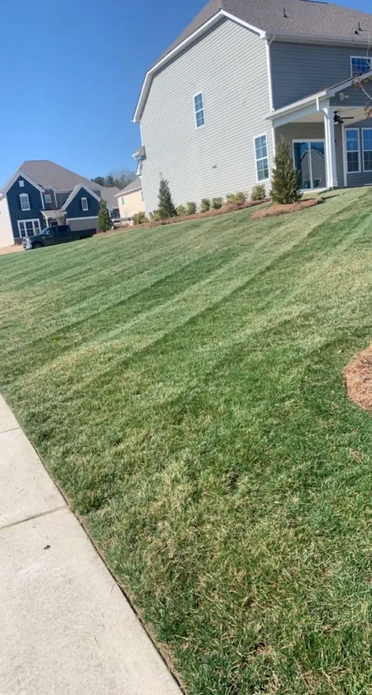 Professional outdoor landscaping with custom design in Charlotte, NC by Cain’s Outdoor Services