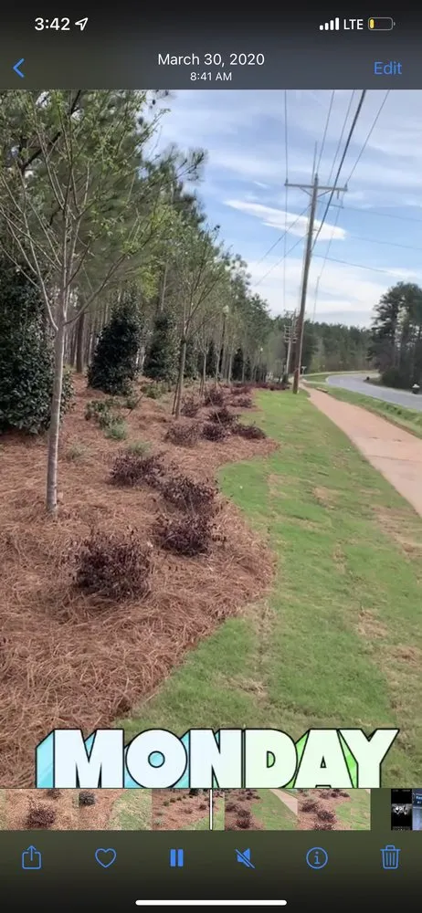 Top-rated yard maintenance experts serving Charlotte, NC - Cain’s Outdoor Services