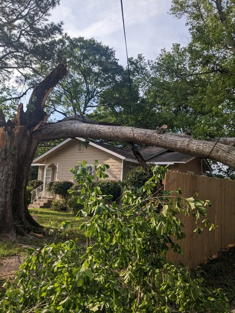 Top-rated outdoor landscaping for residential properties across Mobile, AL - Cain's Tree Service