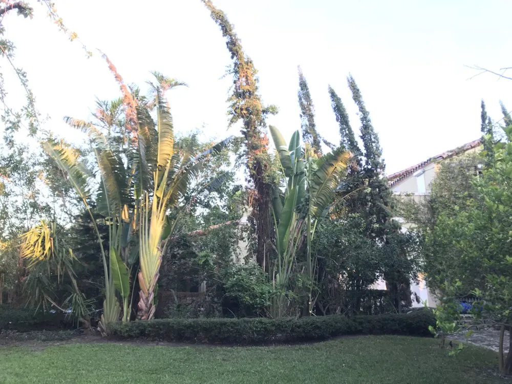 Reliable lawn care service with custom design in Miami, FL by Cairo Landscaping & Tree Service