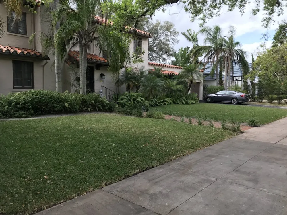 Reliable yard maintenance experts serving Miami, FL - Cairo Landscaping & Tree Service