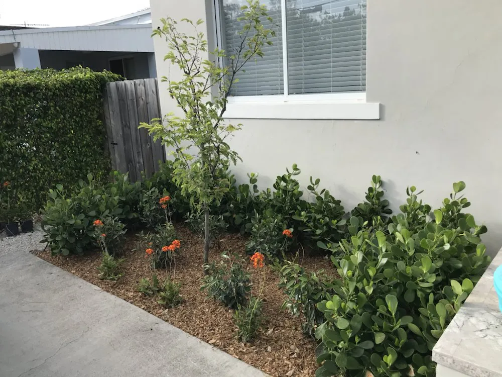 Local lawn mowing service in Miami, FL by Cairo Landscaping & Tree Service