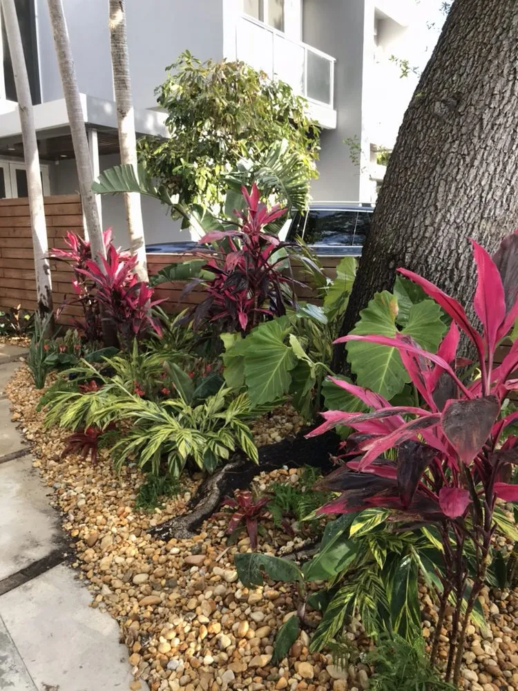 Top-rated residential landscaping experts serving Miami, FL - Cairo Landscaping & Tree Service