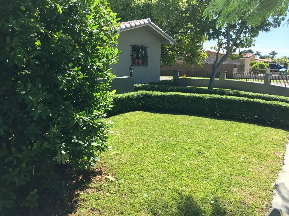 Trusted yard cleanup service in Miami, FL by Cairo Landscaping & Tree Service