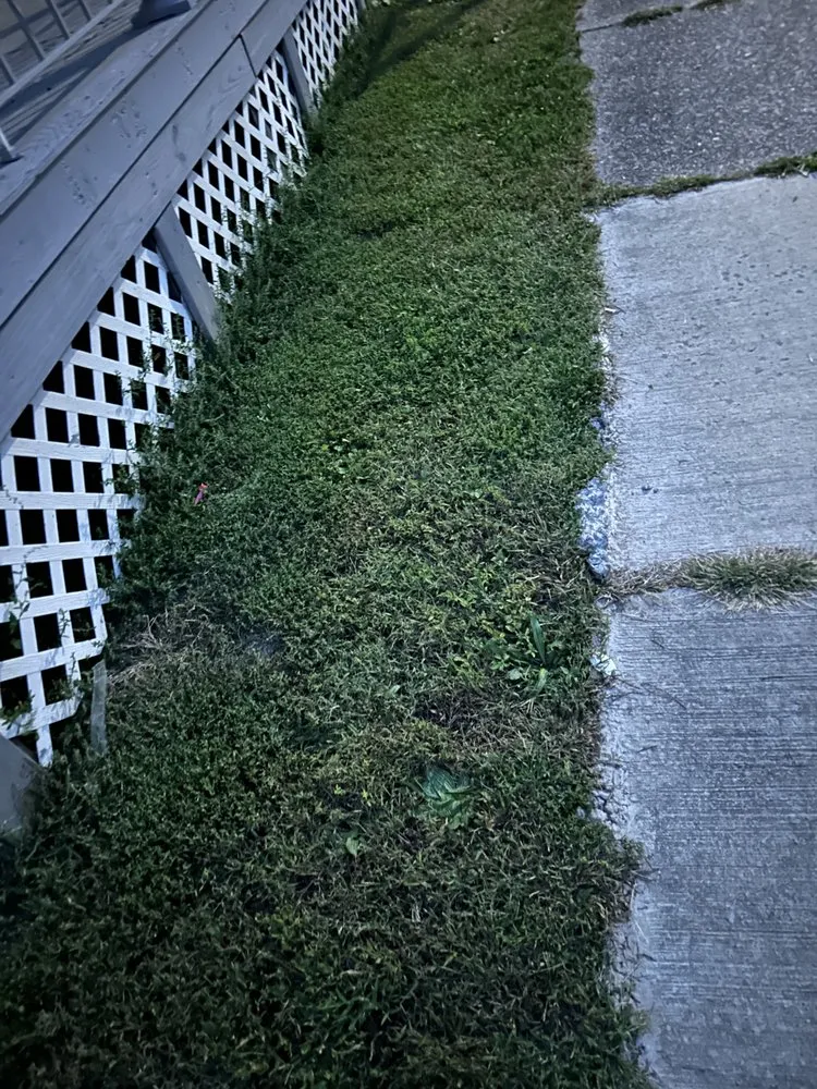 Expert yard maintenance in Scranton, PA by Cait’s Cleaning & Lawncare