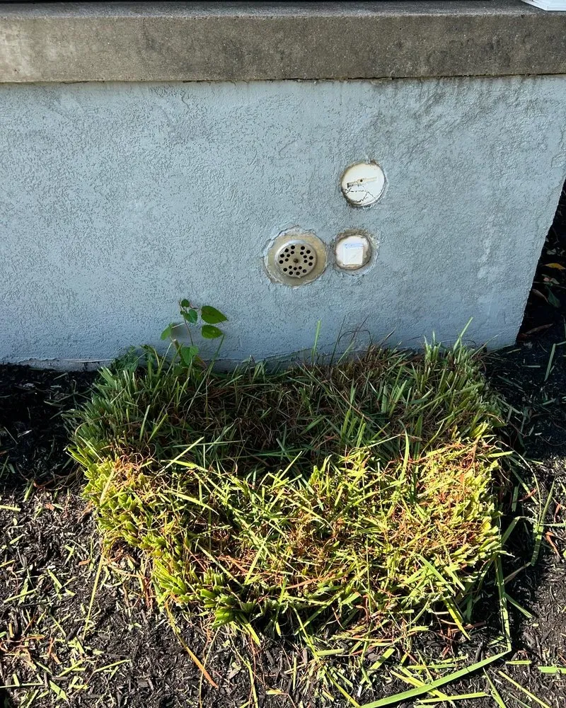 Top-rated yard cleanup service for residential properties in Scranton, PA by Cait’s Cleaning & Lawncare