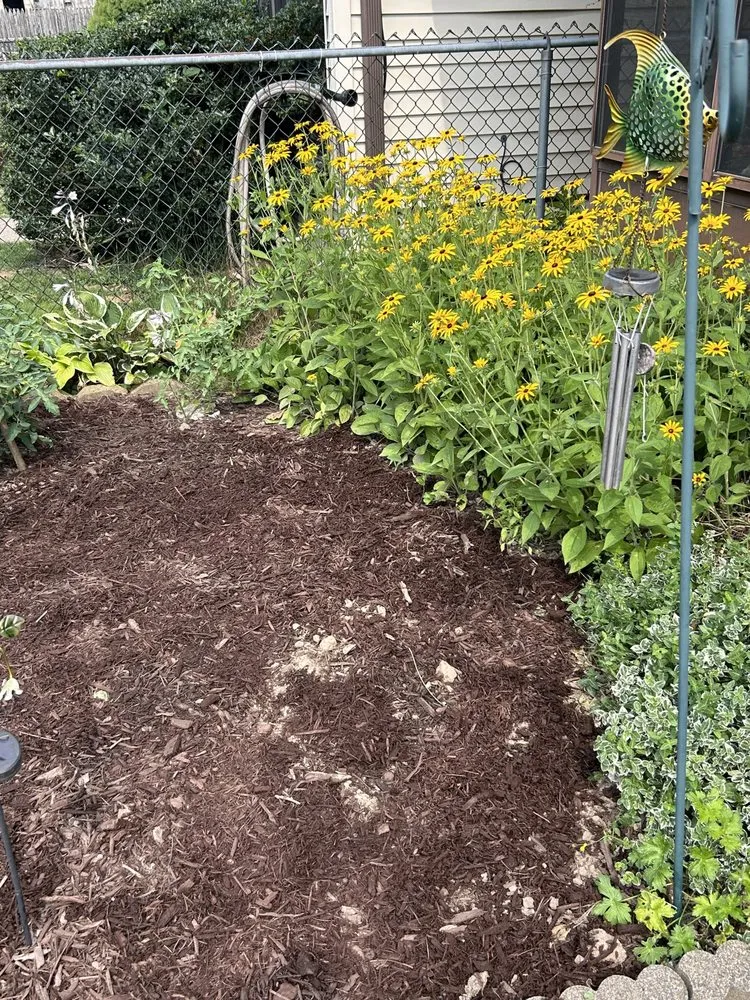 Trusted landscaping services experts serving Scranton, PA - Cait’s Cleaning & Lawncare