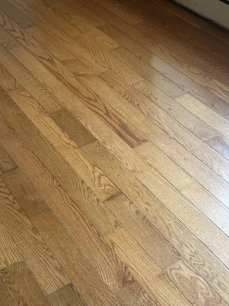 Trusted yard maintenance in Scranton, PA by Cait’s Cleaning & Lawncare