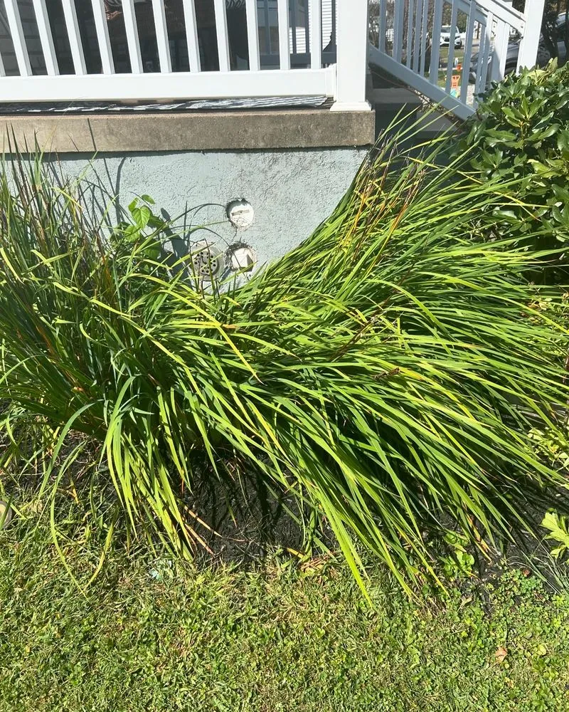 Affordable landscape design near you across Scranton, PA - Cait’s Cleaning & Lawncare