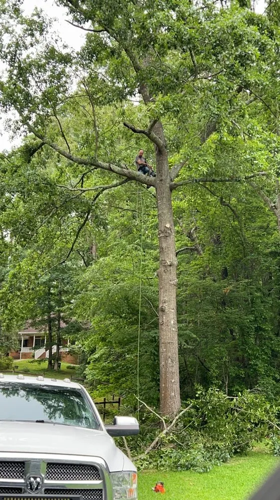 Top-rated yard maintenance experts serving Pinson, AL - Cait’s Tree Worx