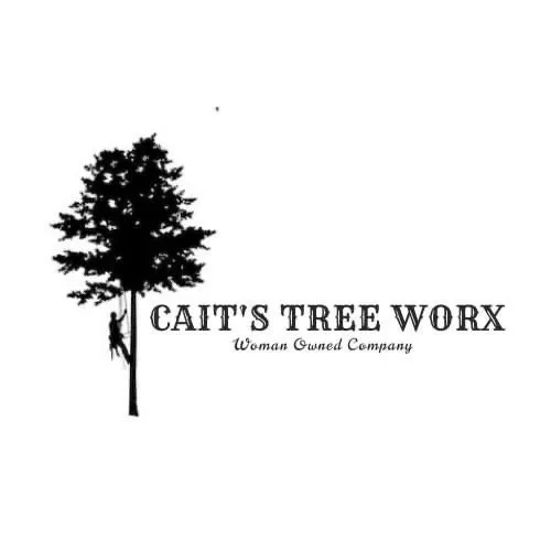 Trusted landscaping services in Pinson, AL by Cait’s Tree Worx