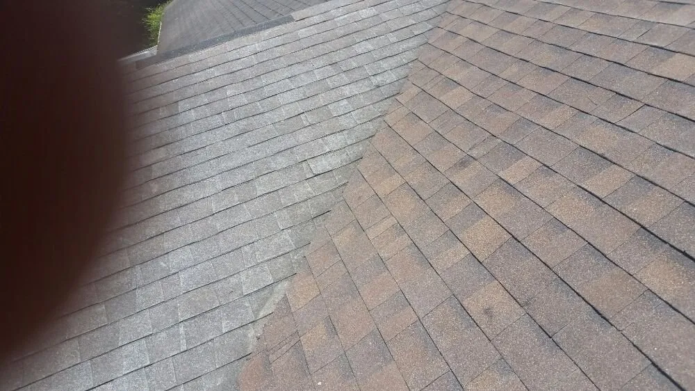 Top-rated landscape design in Corpus Christi, TX - Cajun Charlies Complete Tree Service