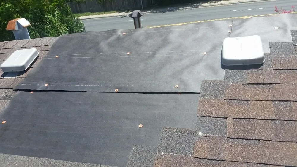 Expert garden landscaping with custom design in Corpus Christi, TX by Cajun Charlies Complete Tree Service